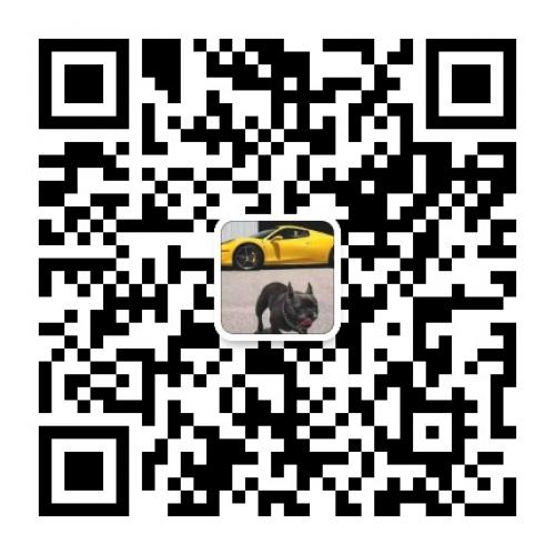 牛牛斗牛大联盟亲友圈跑得快炸金花