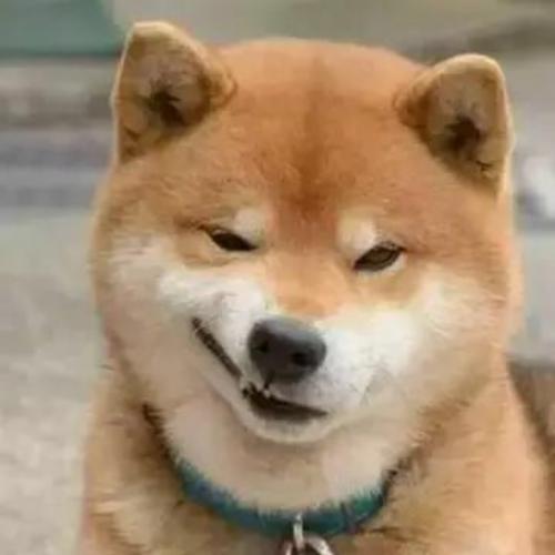 测试